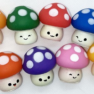 Moochi mushrooms